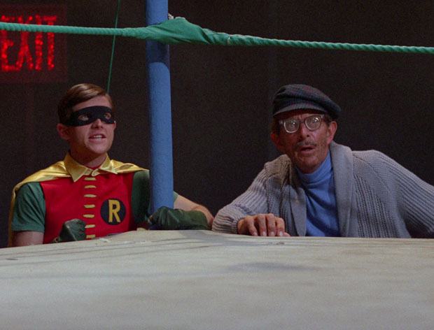 Robin & Alfred (undercover)