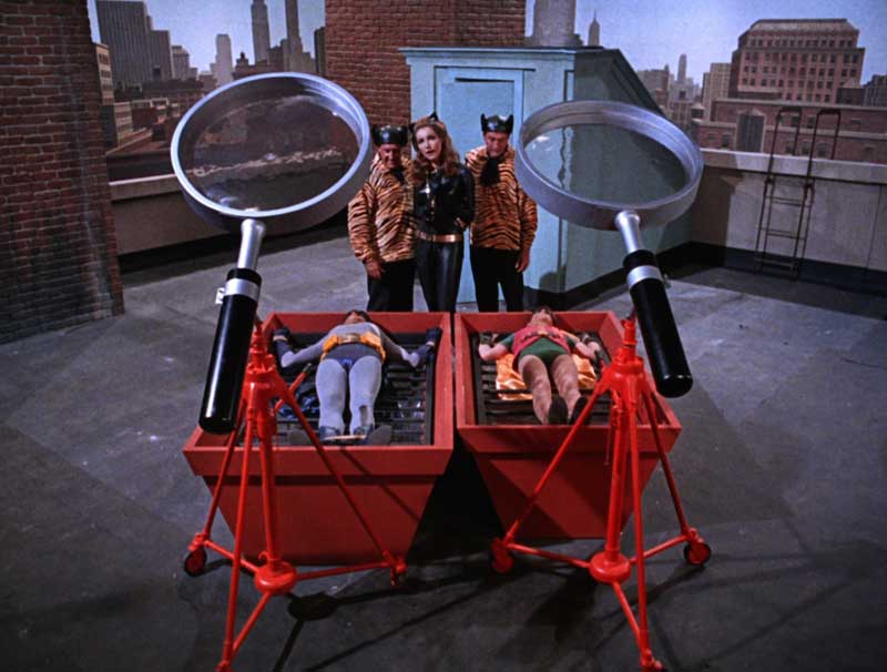 batman-66-catwoman5.jpg