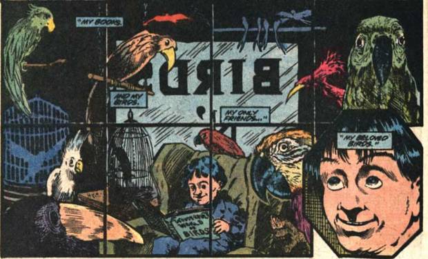 penguin-birds-origin